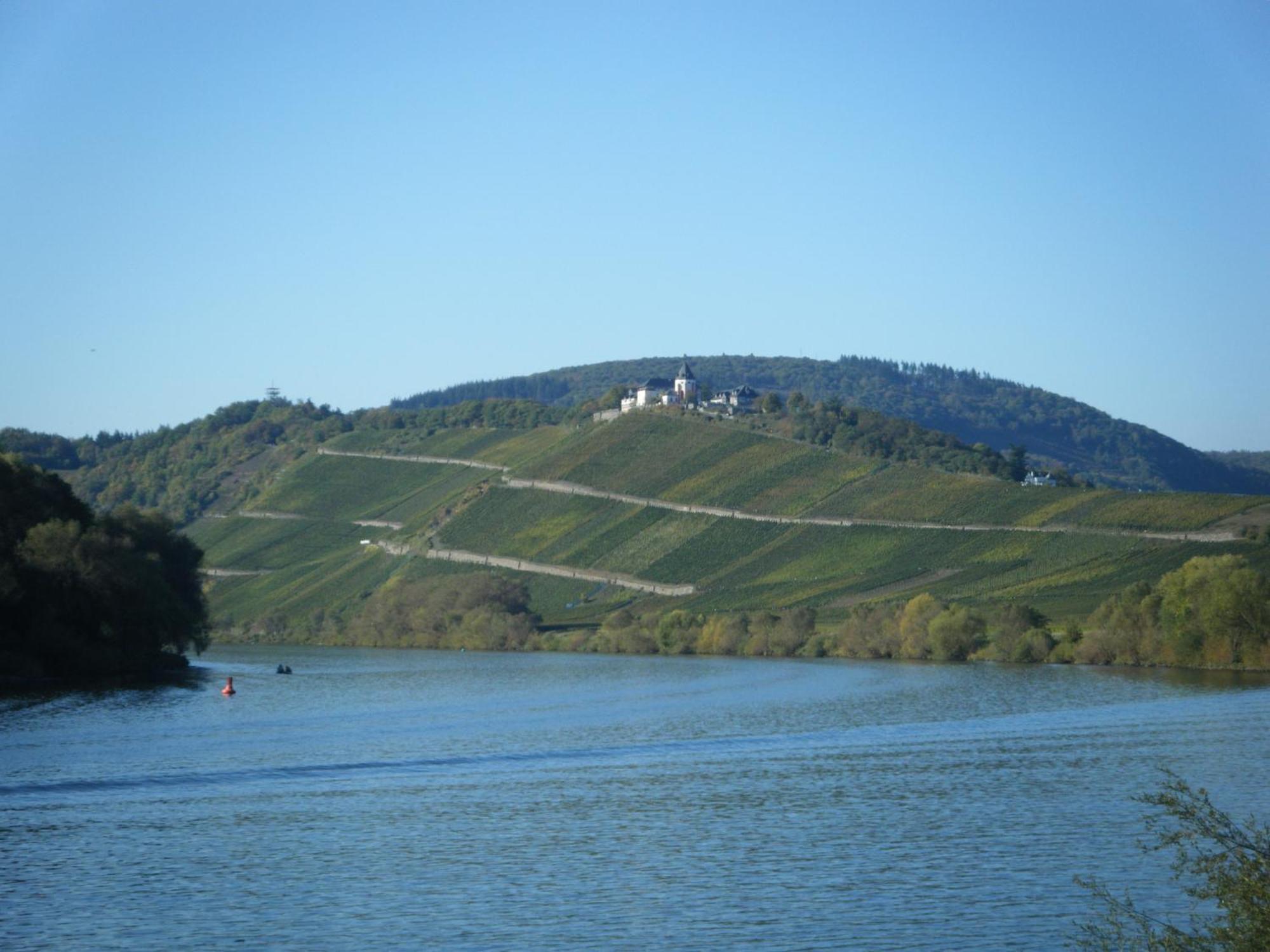 Ferienweingut Hensler Hotel Briedel Buitenkant foto