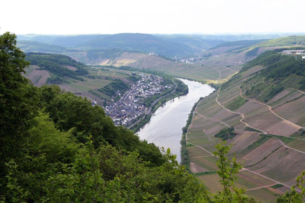 Ferienweingut Hensler Hotel Briedel Buitenkant foto