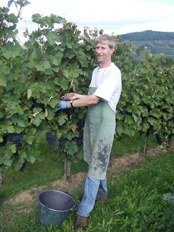 Ferienweingut Hensler Hotel Briedel Buitenkant foto